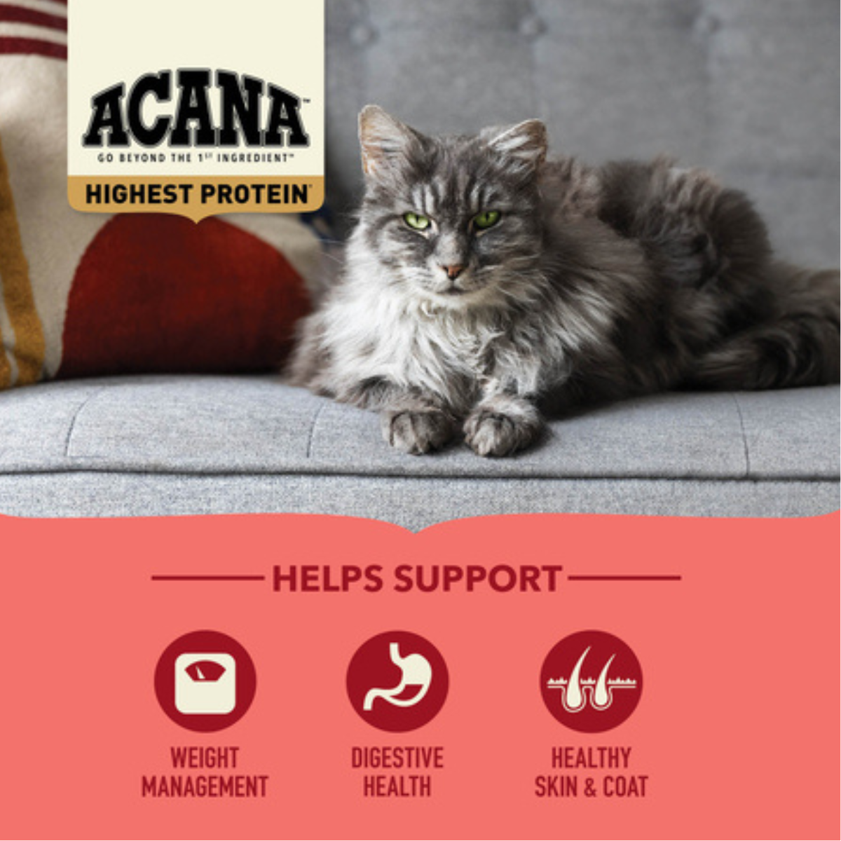ACANA Indoor Cat (Курица, лосось, форель)
