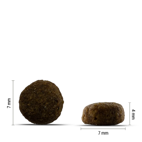 Chicopee CNL Mini Adult (Ягненок и рис)