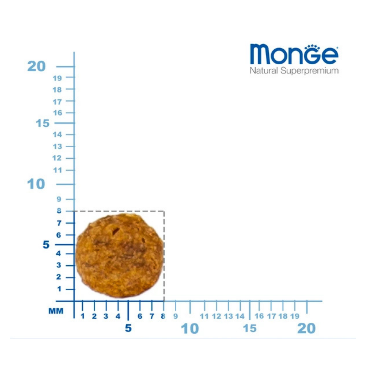 Monge Cat Urinary