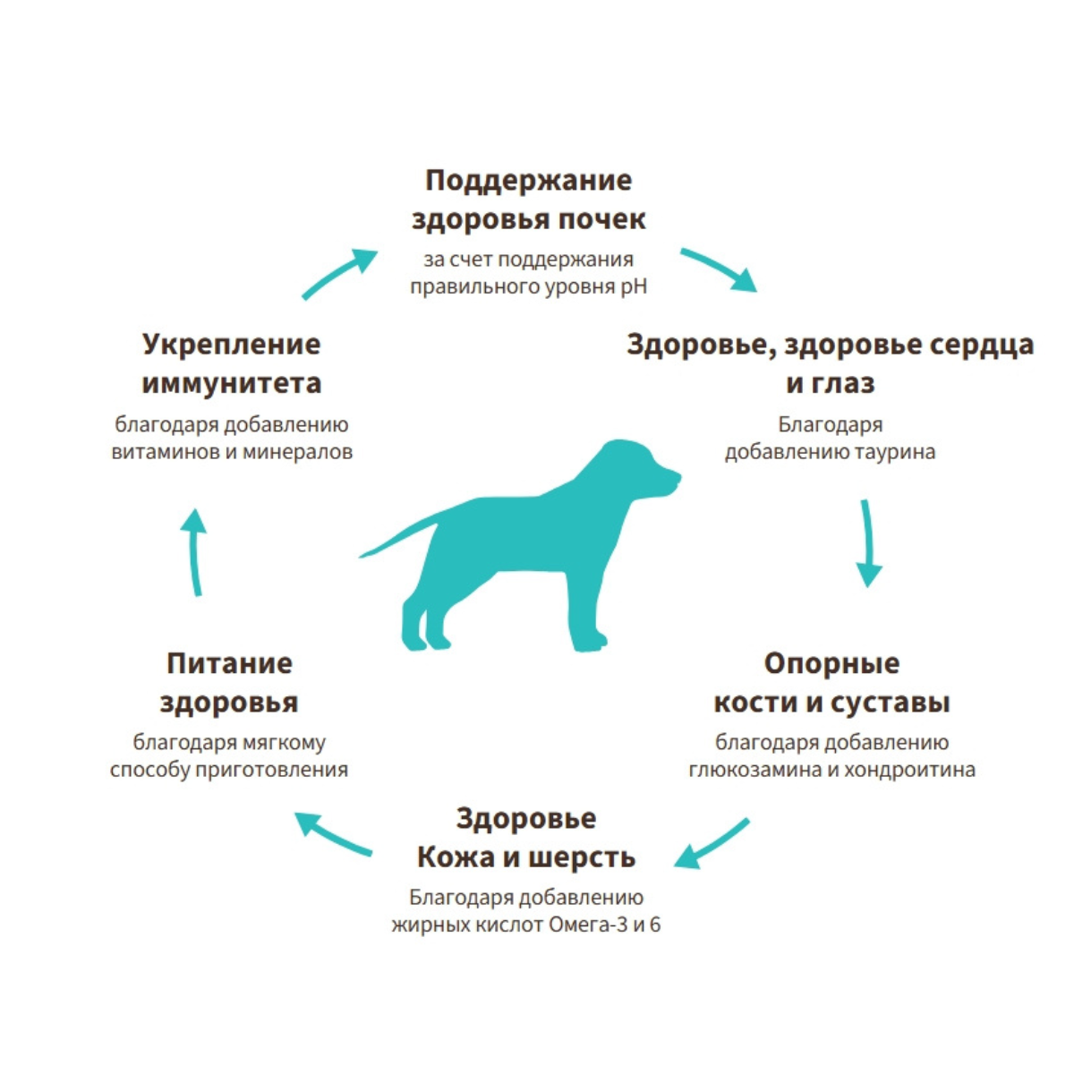 Grandorf Junior Medium & Maxi (Ягненок и индейка)