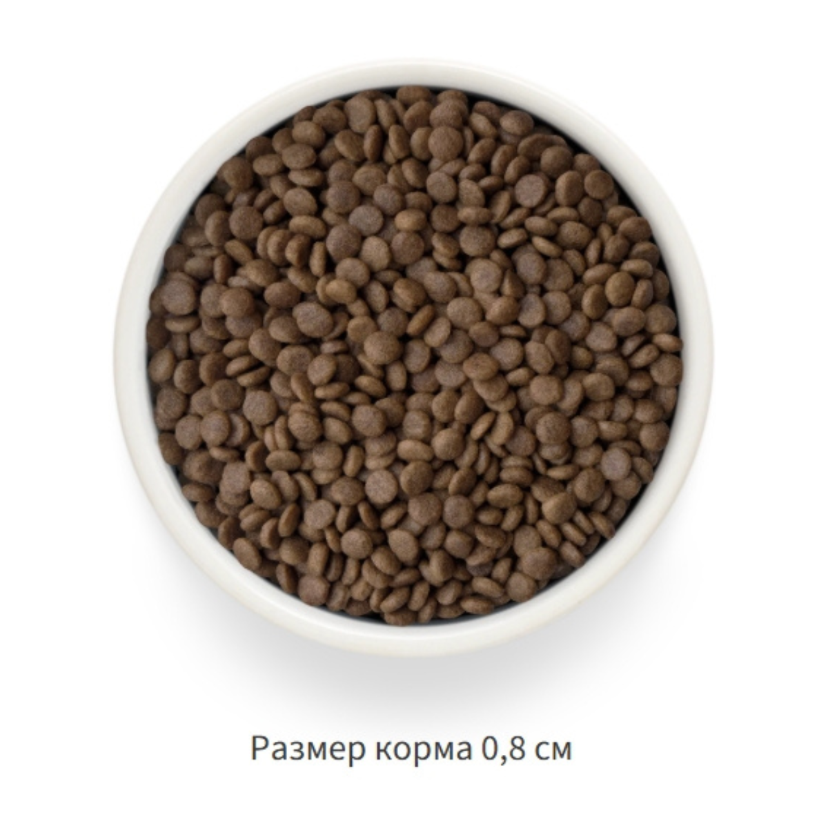 Grandorf Fresh Adult Sterilized (Ягненок и батат)