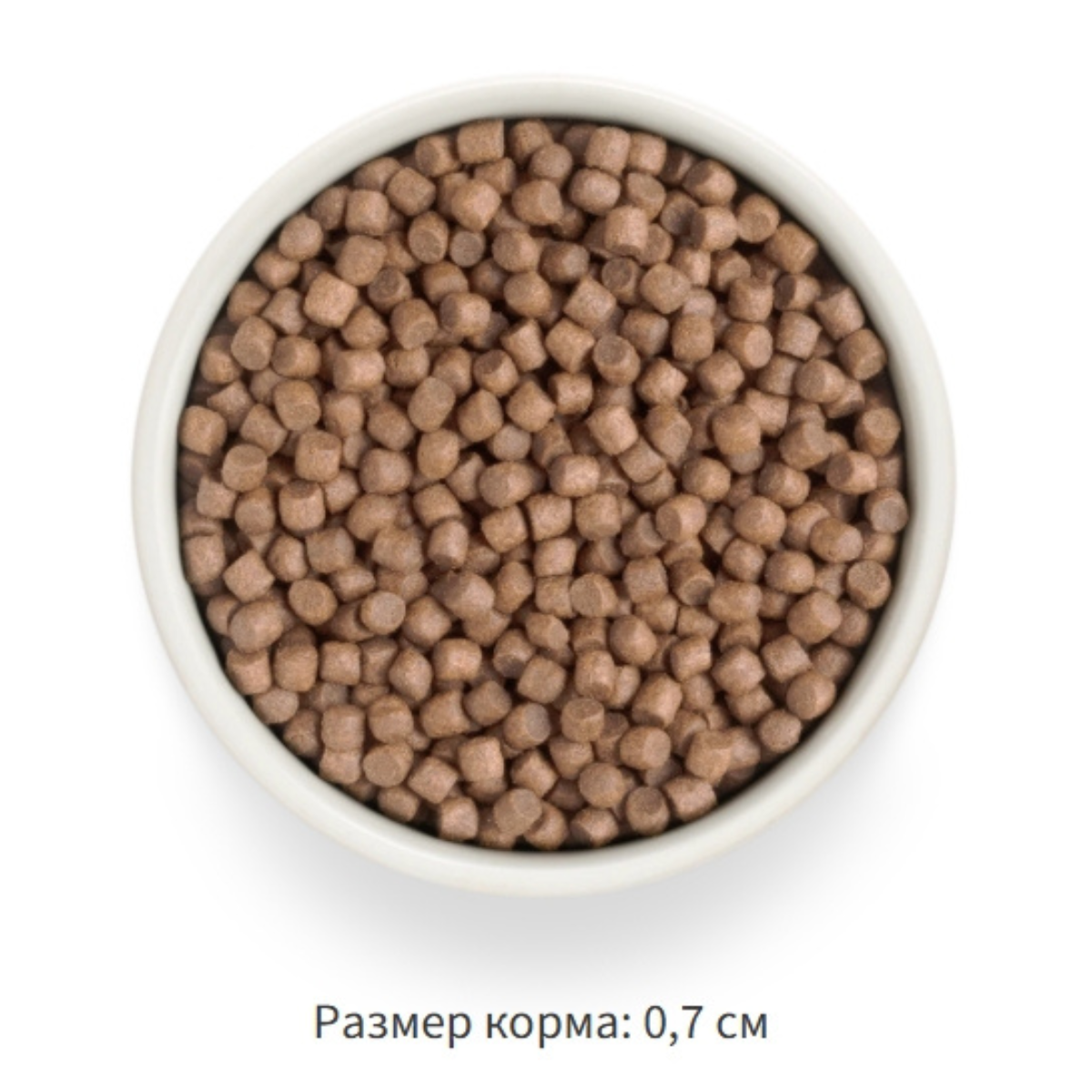 Grandorf Fresh Adult Mini (Индейка и батат)